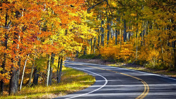 Things to Do in Phoenix During Fall: Fall Foliage Scenic Driving