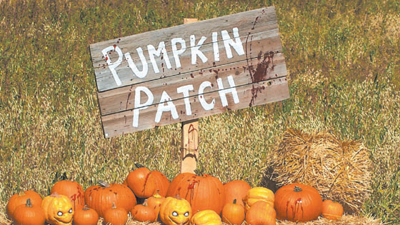 Halloween Pumpkin Patch 2017 Phoenix Area