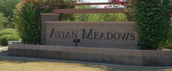 Avian Meadows Chandler AZ 85249