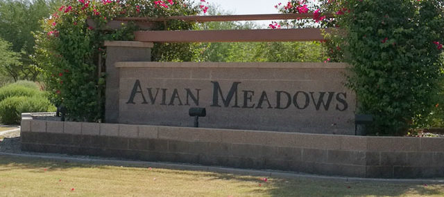 Avian Meadows Chandler AZ 85249