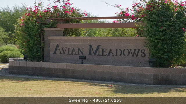 Avian Meadows Chandler AZ 85249