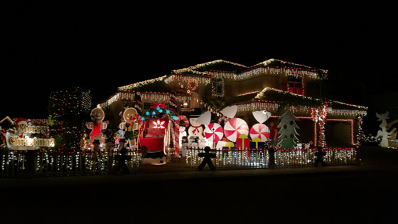 Christmas on Orchid Lane