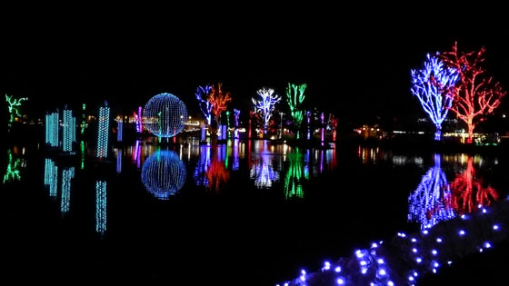 ZooLights - November 22, 2017 - January 14, 2018