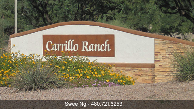 Homes for Sale Carrillo Ranch Chandler AZ 85226, Real Estate Listings and House Value