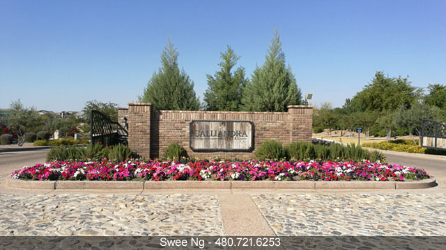 Luxury Homes for Sale Calliandra Estates Gilbert AZ 85298