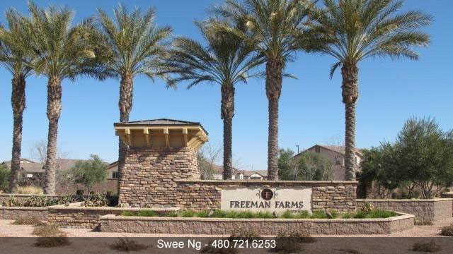 Freeman Farms Homes for Sale Gilbert AZ 85298