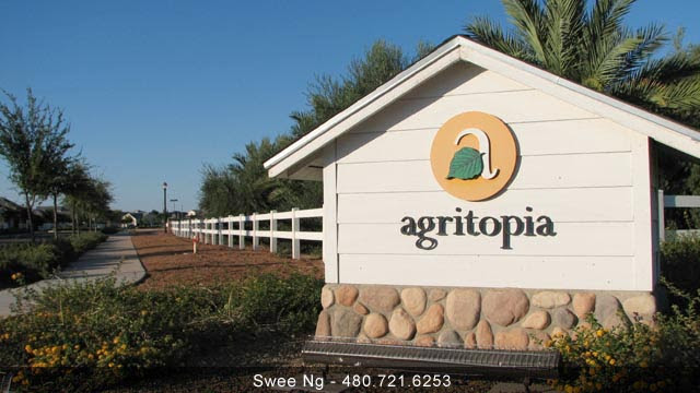 Agritopia Gilbert AZ 85296 Homes for Sale