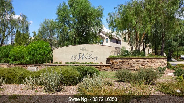 The Willows Gilbert AZ 85295 Homes for Sale