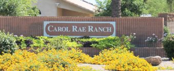 Carol Rae Ranch Gilbert AZ 85234