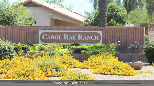 Carol Rae Ranch Gilbert AZ 85234 Homes for Sale