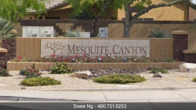 Homes for Sale Mesquite Canyon Mesa AZ 85212