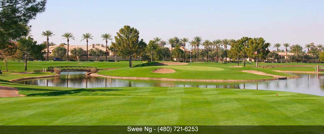 Chandler AZ Homes for Sale $600,000, Swee Ng Chandler AZ Realtor, Swee Ng Chandler AZ real estate agent