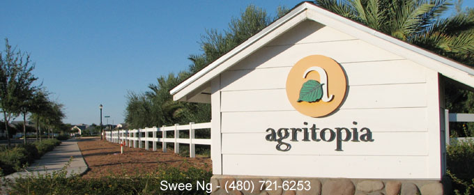 Agritopia Gilbert AZ 85296 Homes for Sale