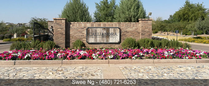 Luxury Homes for Sale Calliandra Estates Gilbert AZ 85298