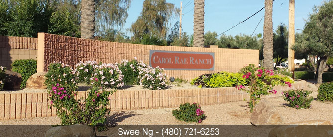 Carol Rae Ranch Gilbert AZ 85234 Carol Rae Ranch Homes for Sale Gilbert AZ 85234