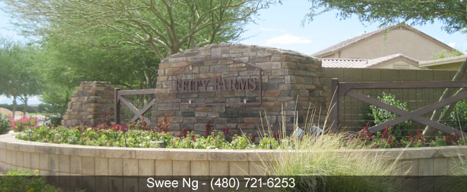 Homes for Sale Felty Farms Gilbert AZ 85298