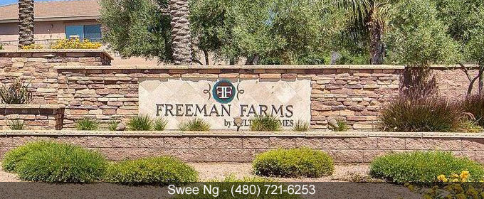 Freeman Farms Gilbert AZ 85298 Homes for Sale