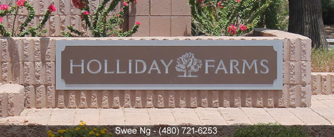 Holliday Farms Gilbert AZ 85234 Homes for Sale