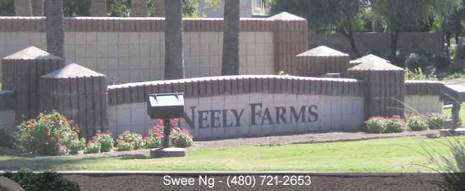 Neely Farms Gilbert AZ 85296 Homes for Sale